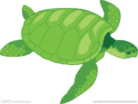 绿色 龟 可爱 卡通 矢量