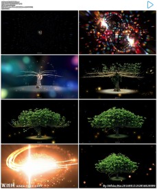 唯美绚丽小树生长成大树