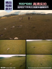 航拍草原骑马人