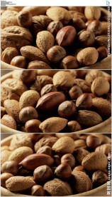 坚果果实核桃视频素材