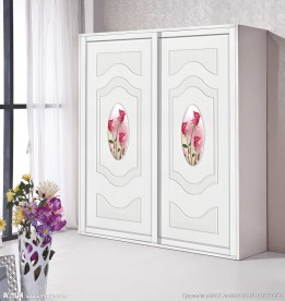 花纹 移门 衣柜门 推拉门