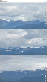 海鸥鸟群飞过山顶