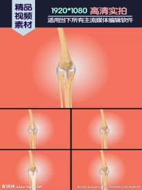 膝关节解剖医学演示动画