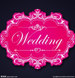 欧式玫红婚礼logo