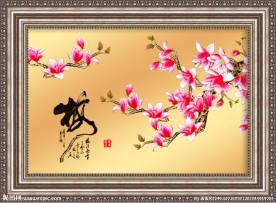 玉兰花