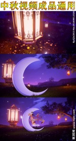 中秋佳节成品视频通用