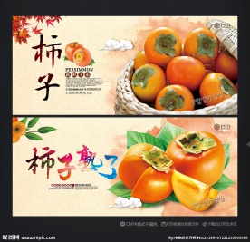柿子