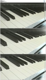 3D钢琴琴键