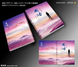 成功书籍封面设计 (无效果图)