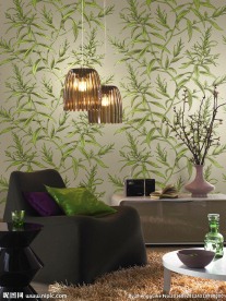 墙纸效果图