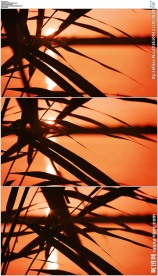 唯美夕阳湖面小草剪影