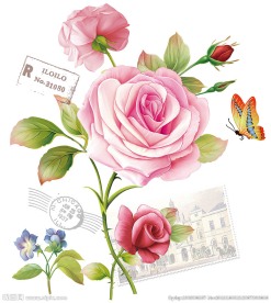 欧式玫瑰 图层分层