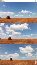 辽阔的农田大丰收