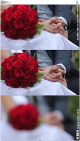 婚礼上新郎握着新娘手