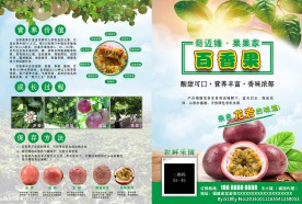 百香果宣传单