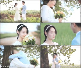 情侣大树下约会