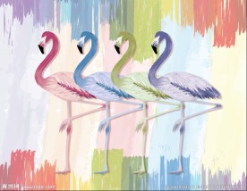 水彩火烈鸟背景