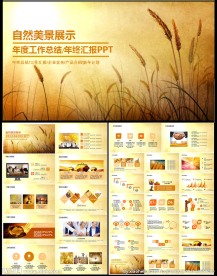 金色年度工作总结汇报PPT模板