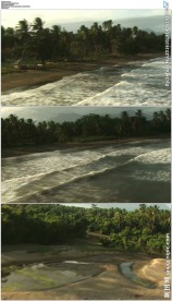 航拍穿越森林海洋