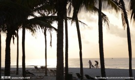 墨西哥海滩上的日出