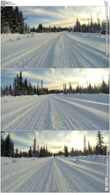 阿拉斯加雪地驾车穿梭