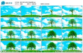 唯美大树生长鲜花开放led视频
