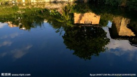 蓝天下的乡村鱼塘 视频