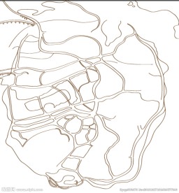 厦门手绘地图线路