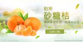 广告图砂糖橘banner图