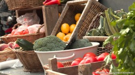 有机新鲜蔬菜贩售商店