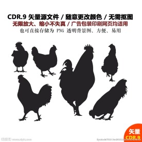 手绘线描母鸡鸡蛋矢量图