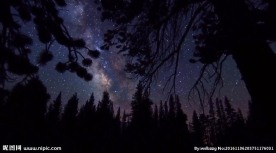 唯美夜景镜头转换