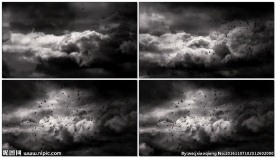 乌云滚滚飞鸟群剪影