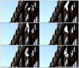 旧房子里的烟囱