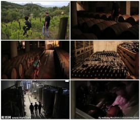 葡萄酒生产基地