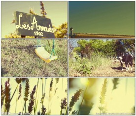 阳光下农场角落特写