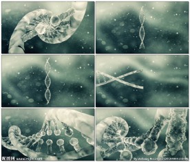 DNA医学演示动画视频