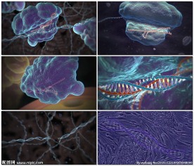 基因DNA重组医疗演示视频