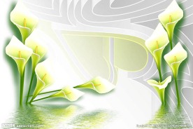 马蹄莲3D立体背景墙