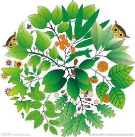 猫头鹰 树枝 树叶 底纹 背景