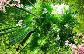 树林飞鸟立体吊顶