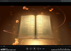 宣誓 书 本 特效