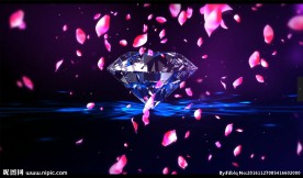 拥吻 钻石玫瑰花瓣