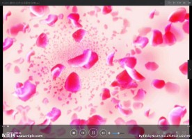 花辨 LED 动态 背景素材