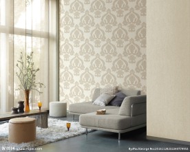 墙纸空间  室内  家具