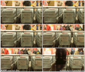 超级商场里的购物车