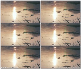 水面垃圾漂浮物