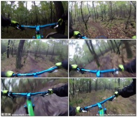 运动员骑山地车在森林里运动