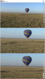 非洲草原热气球飞过牛群