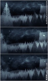 诡异森林下雪的夜动画